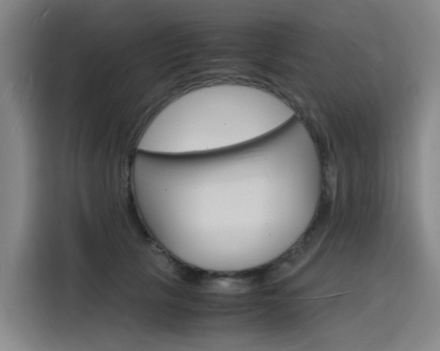 X0000116140657200911230932