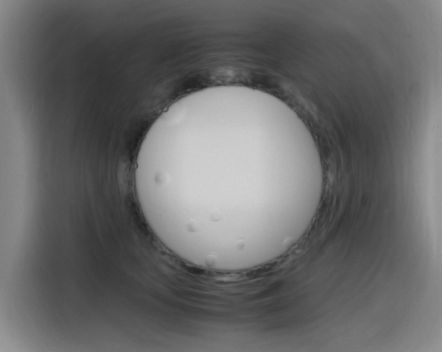 X0000116140659200911230932