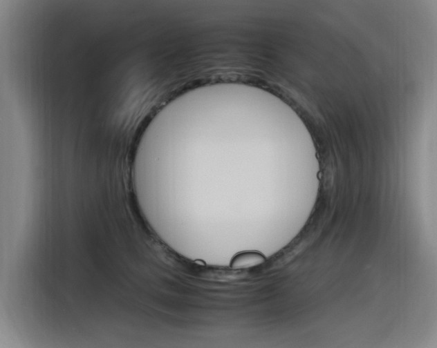 X0000116140661200911230932