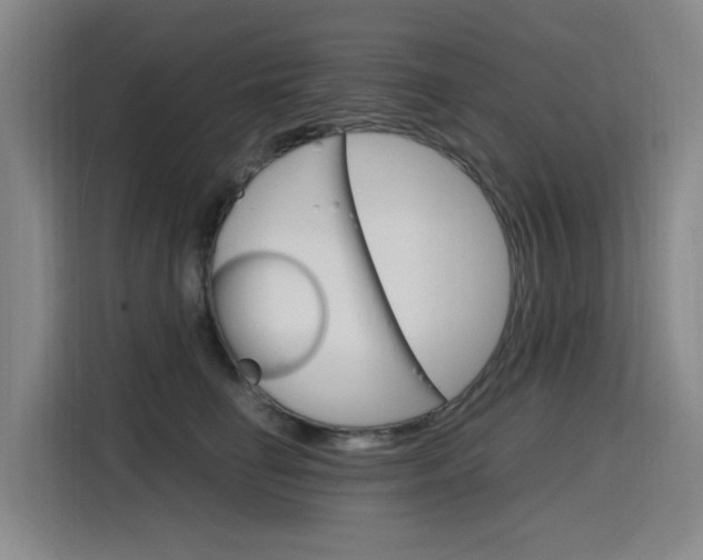 X0000116140662200911230933