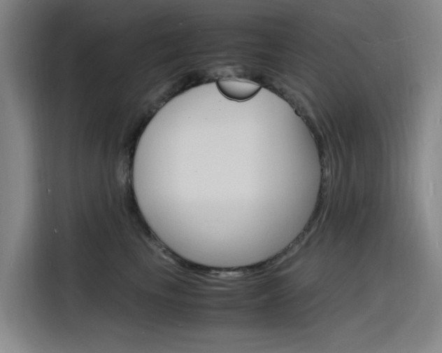 X0000116140665200911230933