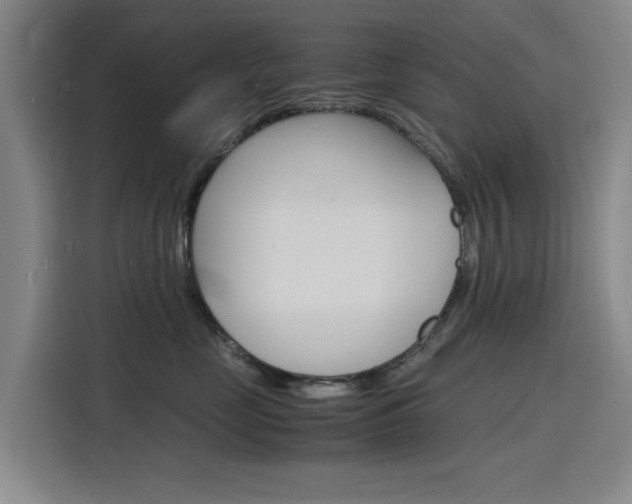 X0000116140669200911230933