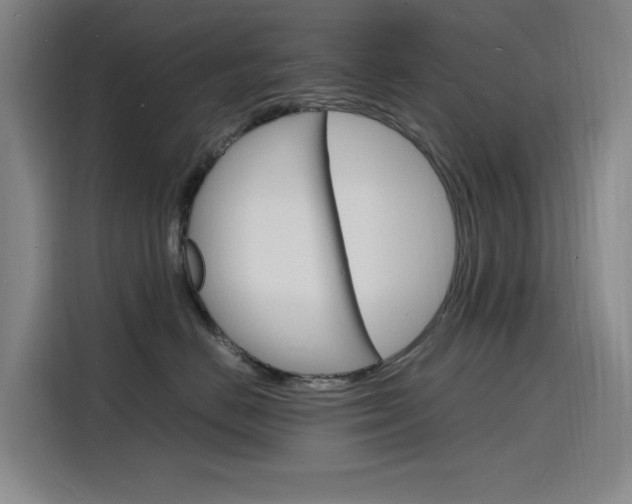 X0000116140670200911230933