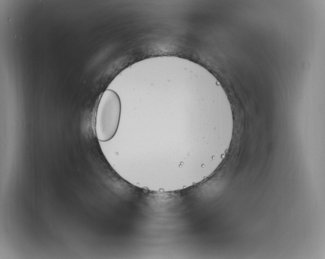 X0000116140672200911230933