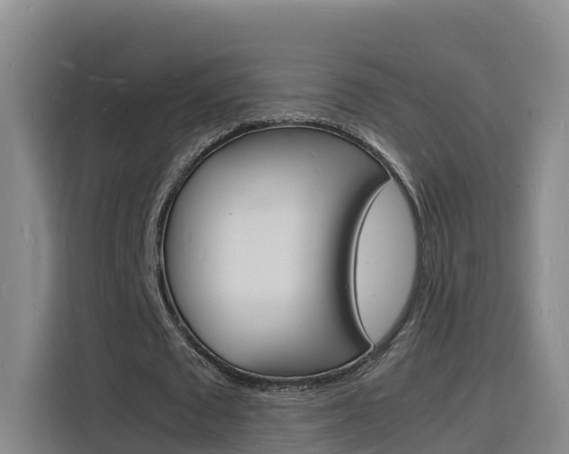 X0000116140673200911230932