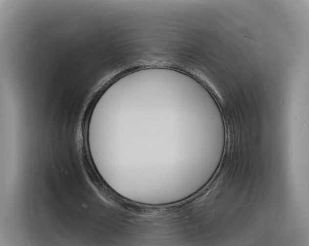 X0000116140674200911230932