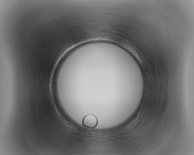 X0000116140676200911230932