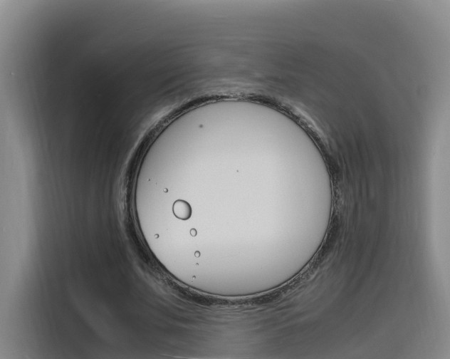 X0000116140679200911230932