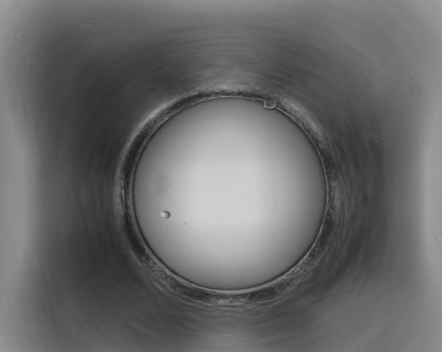 X0000116140680200911230932