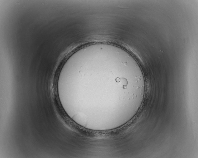 X0000116140682200911230932