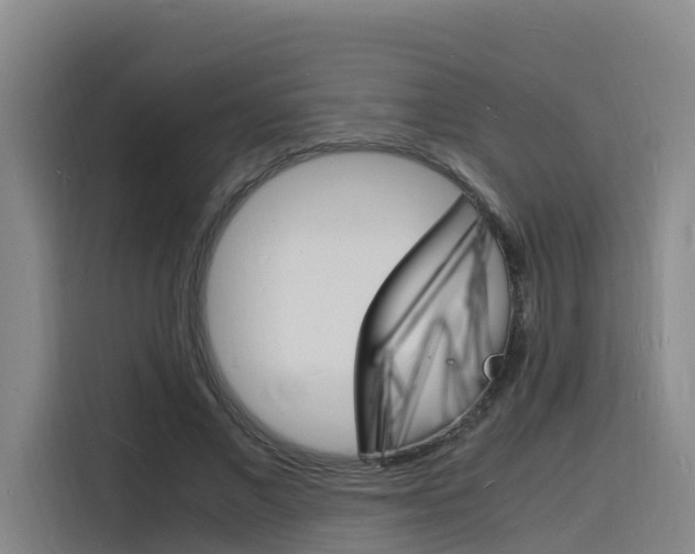 X0000116140685200911230932