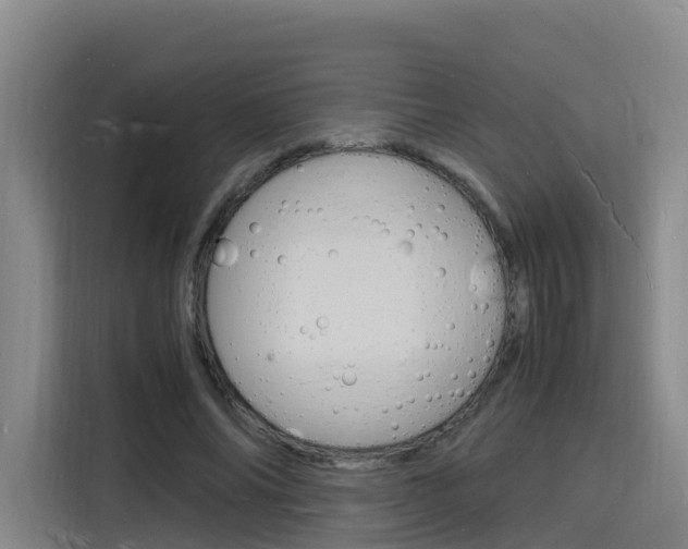 X0000116140686200911230932