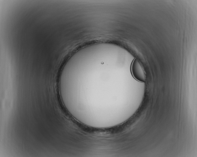 X0000116140689200911230932