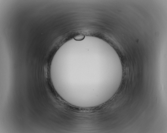 X0000116140694200911230932