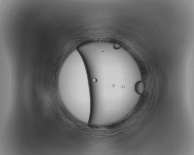 X0000116140695200911230932
