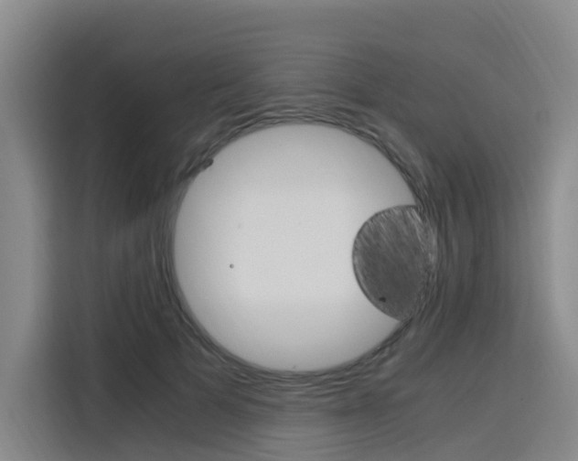 X0000116140697200911230932