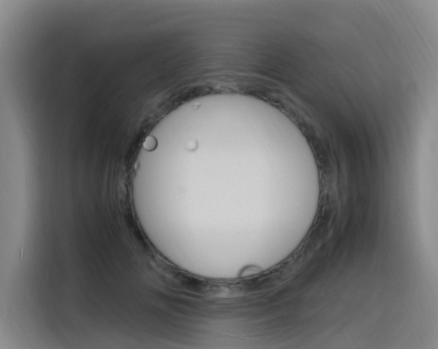 X0000116140702200911230932