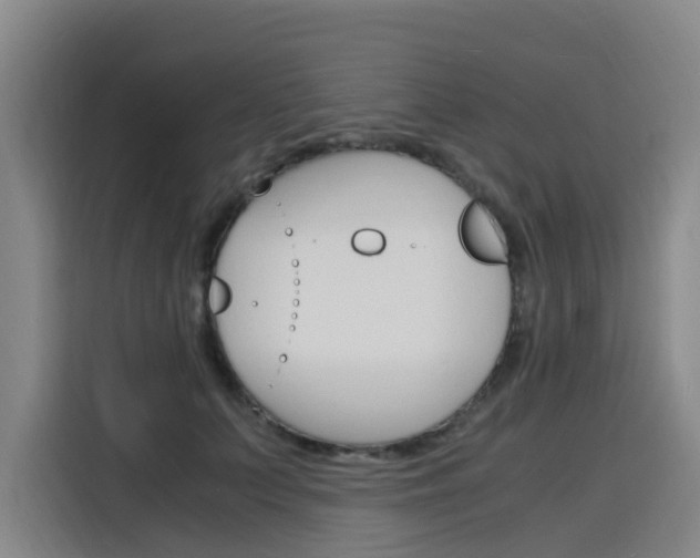X0000116140703200911230932