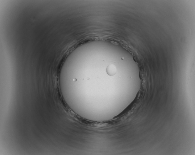 X0000116140716200911230931