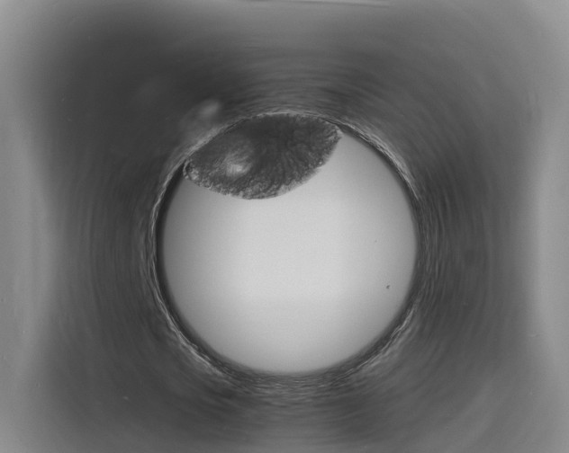 X0000116140721200911230931