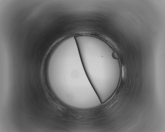 X0000116140723200911230931