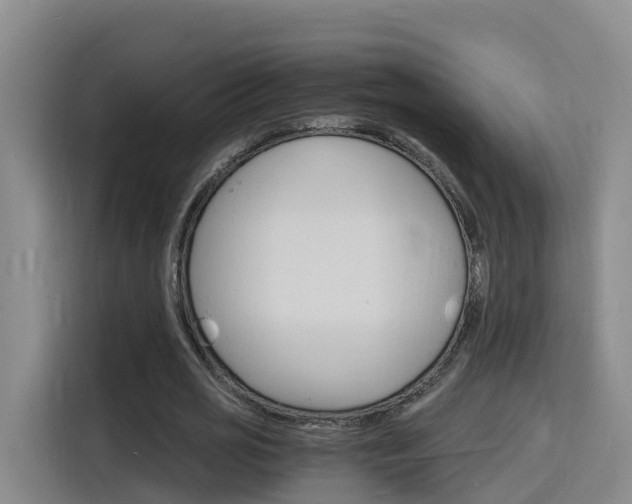 X0000116140725200911230931