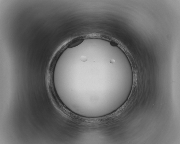 X0000116140726200911230931