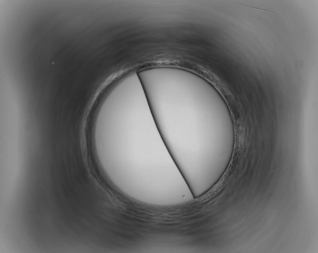 X0000116140727200911230931