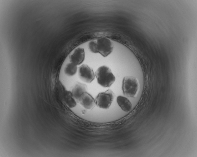 X0000116140741200911230931