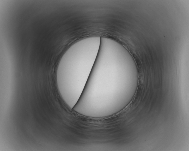 X0000116140743200911230931