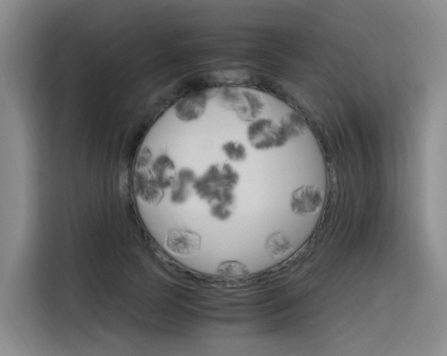 X0000116140745200911230931