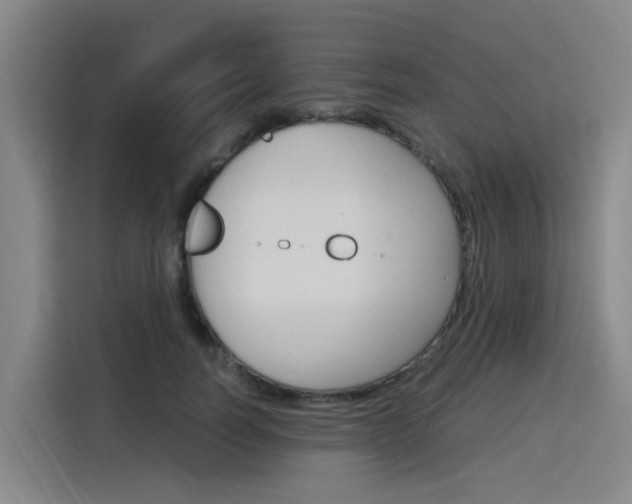 X0000116140746200911230931