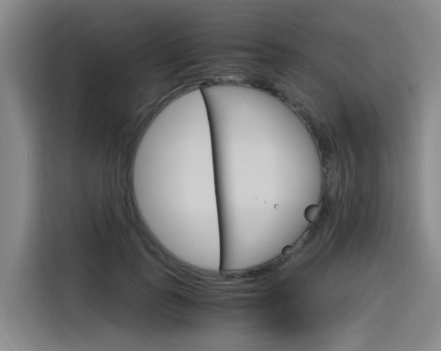 X0000116140747200911230931