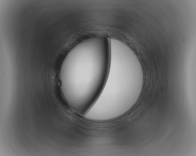 X0000116140750200911230931