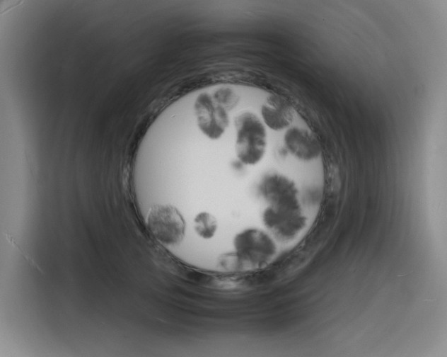 X0000116140753200911230931