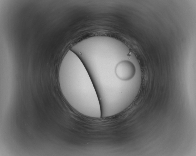 X0000116140759200911230931