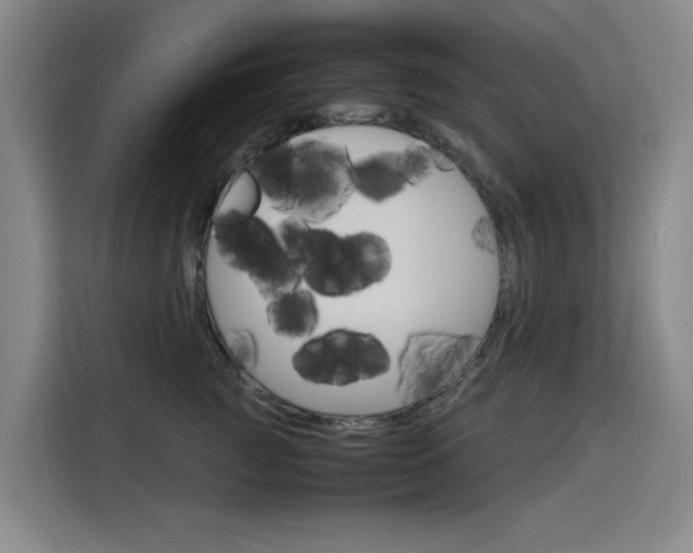 X0000116140761200911230931