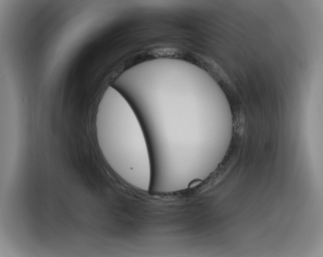 X0000116140763200911230931
