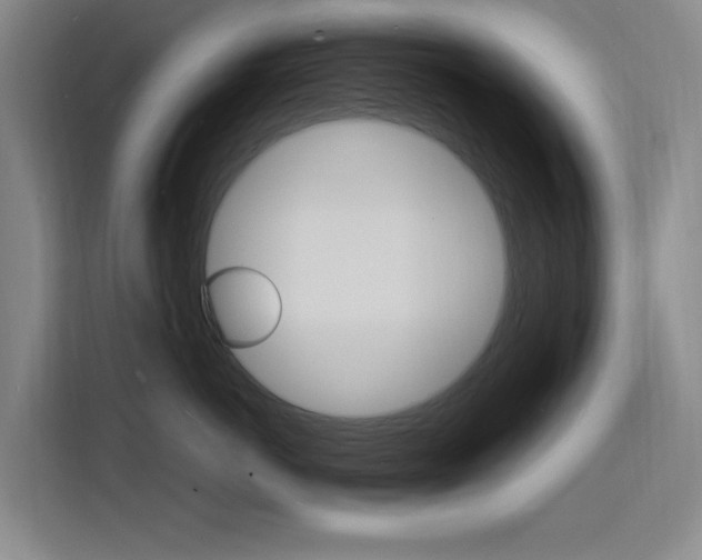 X0000116140766200911230931