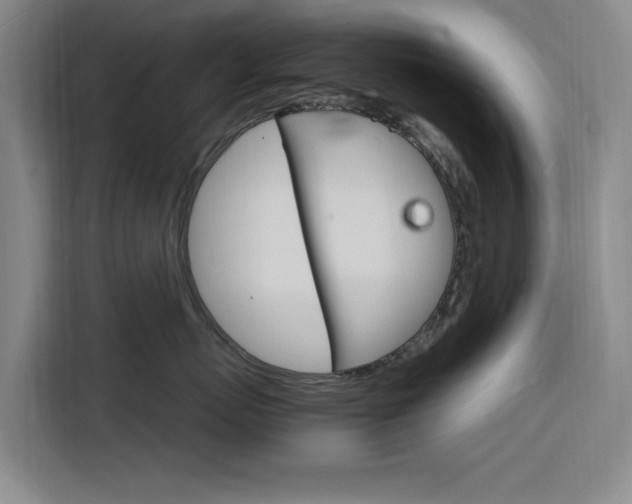 X0000116140767200911230931