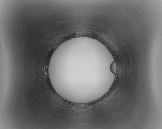 X0000116140770200911230931