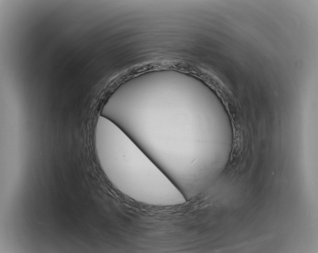 X0000116140773200911230931