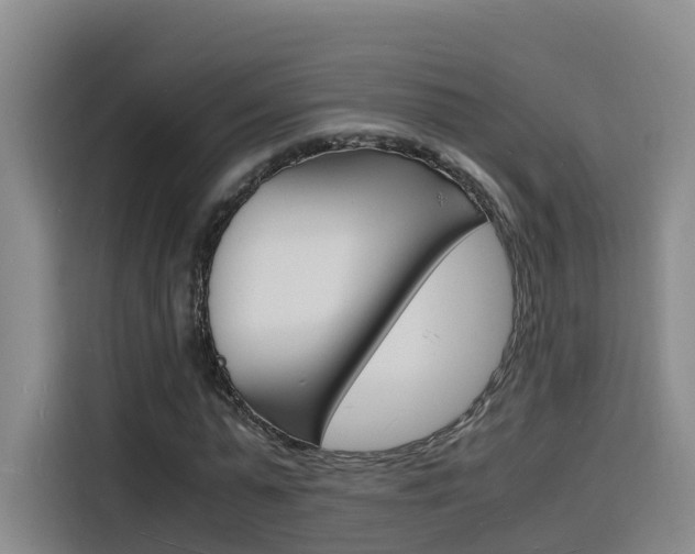 X0000116140775200911230931