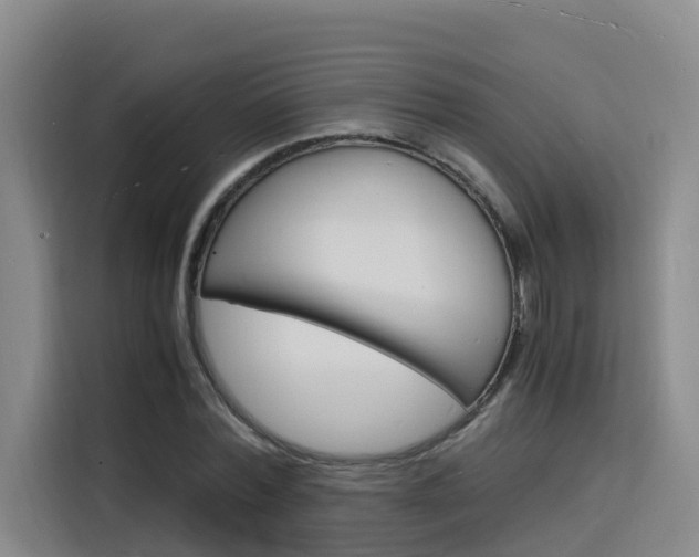X0000116140780200911230931