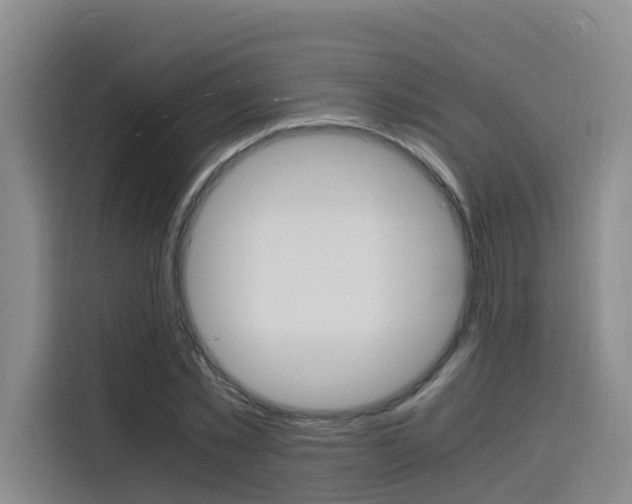 X0000116140781200911230931