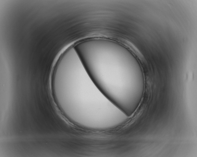 X0000116140788200911230931