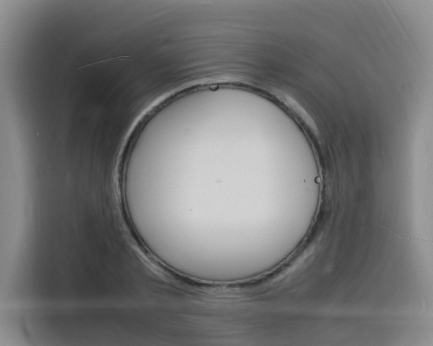 X0000116140789200911230931