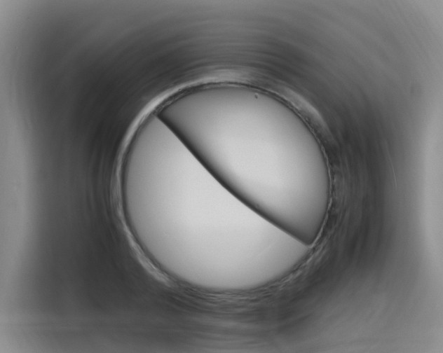 X0000116140792200911230930
