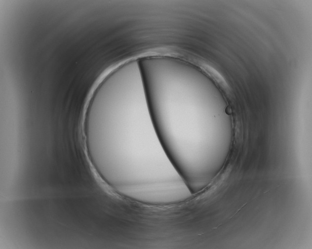 X0000116140800200911230930