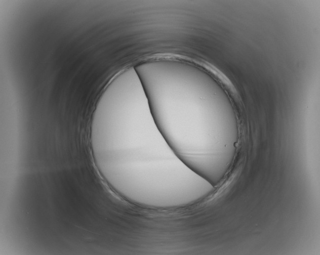 X0000116140801200911230930